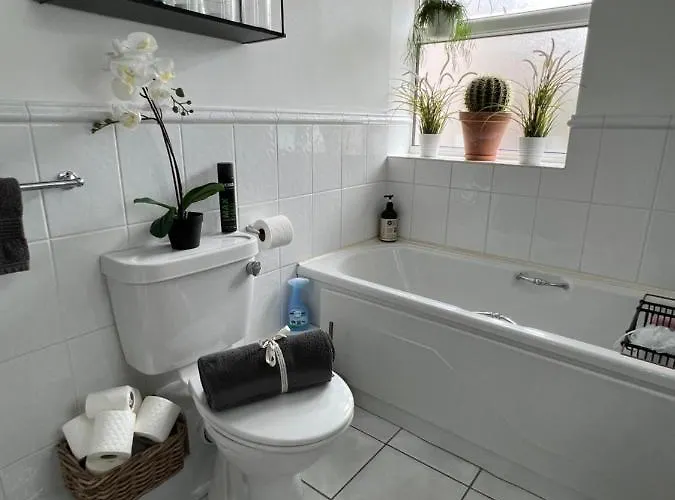 Lovely In アパート コーク